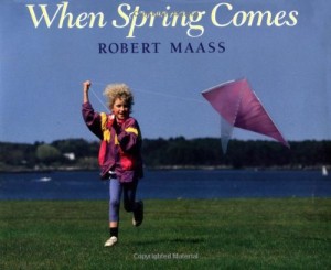 Baixar When spring comes pdf, epub, eBook