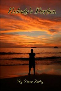 Baixar Nobody’s perfect pdf, epub, eBook