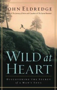 Baixar Wild at heart pdf, epub, eBook