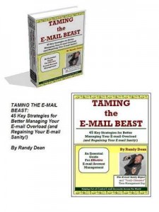 Baixar Taming the e-mail beast pdf, epub, eBook