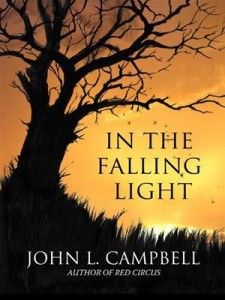 Baixar In the falling light pdf, epub, eBook