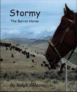 Baixar Stormy the barrel horse pdf, epub, eBook