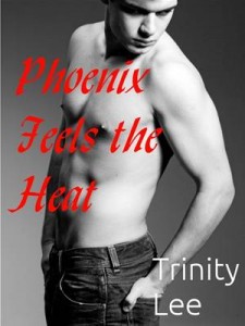 Baixar Phoenix feels the heat (mm) pdf, epub, eBook