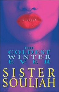 Baixar Coldest winter ever, the pdf, epub, eBook