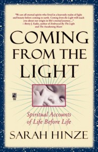 Baixar Coming from the light – spiritual accounts of life pdf, epub, eBook