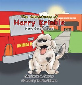 Baixar Adventures of harry krinkle, the pdf, epub, eBook