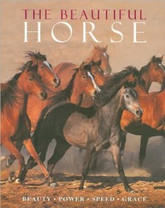 Baixar Beautiful horse, the pdf, epub, eBook