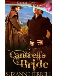 Baixar Cantrell’s bride pdf, epub, eBook