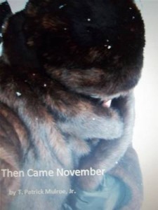 Baixar Then came november pdf, epub, eBook