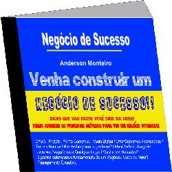 Baixar Negócio de Sucesso! Saia da Crise! pdf, epub, eBook