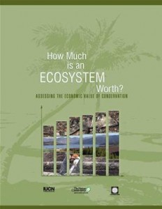 Baixar How much is an ecosystem worth?: assessing the pdf, epub, eBook