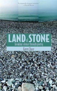 Baixar Land of stone: breaking silence through poetry pdf, epub, eBook