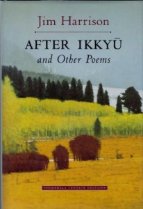 Baixar After ikkyu pdf, epub, eBook