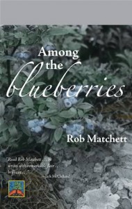 Baixar Among the blueberries pdf, epub, eBook