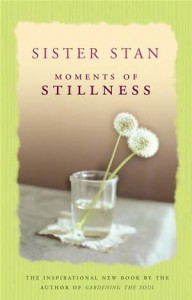 Baixar Moments of stillness pdf, epub, eBook