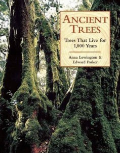 Baixar Ancient trees pdf, epub, eBook