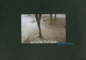 Baixar 100 little deaths- janaina tschape pdf, epub, eBook