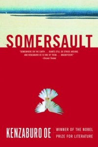 Baixar Somersault pdf, epub, eBook