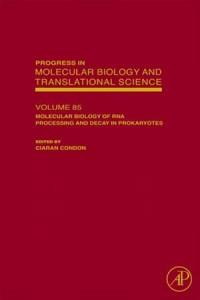 Baixar Molecular biology of rna processing and decay in pdf, epub, eBook