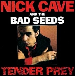 Baixar Tender prey pdf, epub, eBook