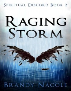 Baixar Raging storm: spiritual discord, 2 pdf, epub, eBook