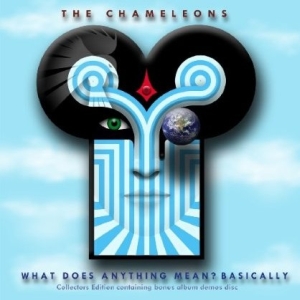 Baixar What does anything mean? basically pdf, epub, eBook
