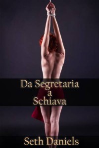 Baixar Da segretaria a schiava pdf, epub, eBook