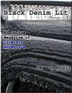 Baixar Black denim lit v1 #1 pdf, epub, eBook