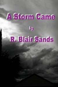 Baixar Storm came, a pdf, epub, eBook