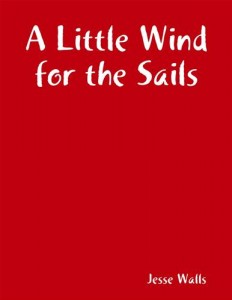 Baixar Little wind for the sails, a pdf, epub, eBook