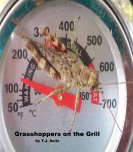 Baixar Grasshoppers on the grill pdf, epub, eBook