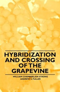 Baixar Hybridization and crossing of the grapevine pdf, epub, eBook
