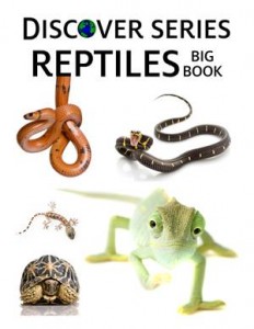 Baixar Reptiles big book pdf, epub, eBook