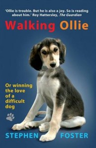 Baixar Walking ollie pdf, epub, eBook
