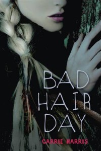 Baixar Bad hair day pdf, epub, eBook
