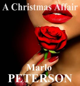 Baixar Christmas affair, a pdf, epub, eBook