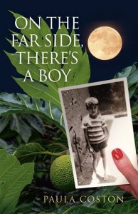Baixar On the far side, there’s a boy pdf, epub, eBook