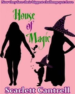 Baixar House of magic pdf, epub, eBook