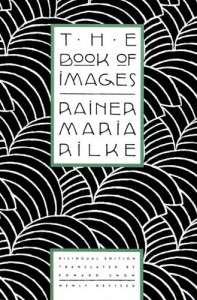 Baixar Book of images, the pdf, epub, eBook