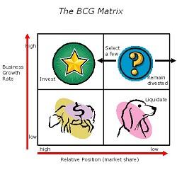 Baixar Metrica BCG e Análise Gráfica pdf, epub, eBook