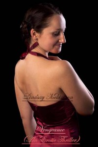 Baixar Vengeance (an erotic thriller) pdf, epub, eBook