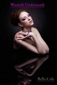 Baixar Warmth underneath pdf, epub, eBook