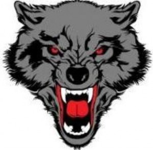 Baixar TUDO SOBRE O KRAV MAGÁ, A MELHOR DEFESA PESSOAL DO MUNDO. pdf, epub, eBook