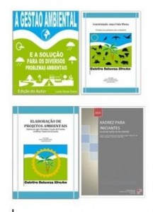Baixar Combo  Gestão Ambiental pdf, epub, eBook