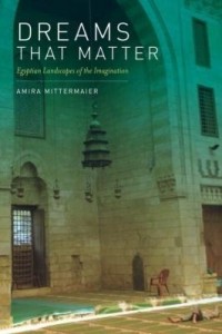 Baixar Dreams That Matter: Egyptian Landscapes of the Imagination pdf, epub, eBook
