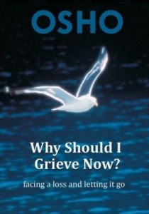 Baixar Why Should I Grieve Now?: Facing a Loss and Letting It Go pdf, epub, eBook