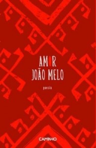 Baixar Amor pdf, epub, eBook