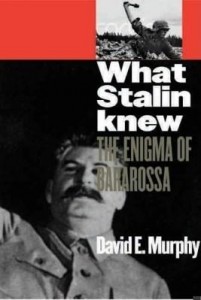 Baixar What Stalin Knew: The Enigma of Barbarossa pdf, epub, eBook