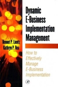 Baixar Dynamic E-Business Implementation Management pdf, epub, eBook