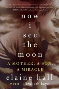 Baixar Now I See the Moon pdf, epub, eBook